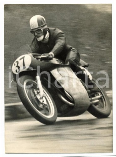 1957 imola coppa - imola, shell