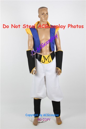 Costume cosplay dragon - ball, z