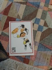 Figurina Panini Nuova Mondiali