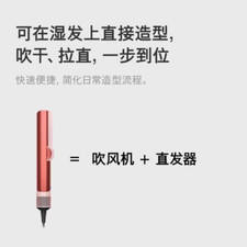 Piastra Professionale 2 in 1 E