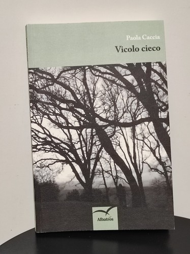 Libro vicolo cieco - libro,