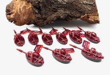 Delphin Method QUIX Method