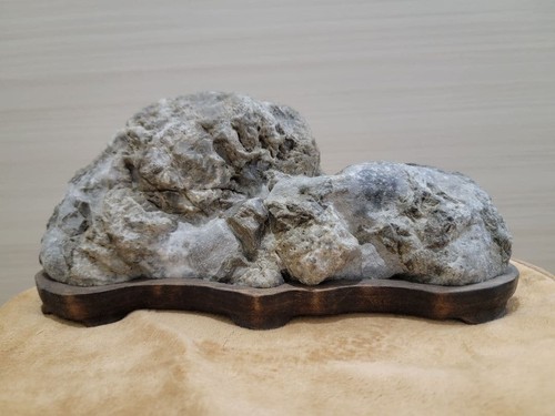 Bonsai suiseki bonseki - di,