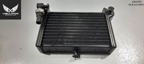 Radiatore olio ducati - radiatore,