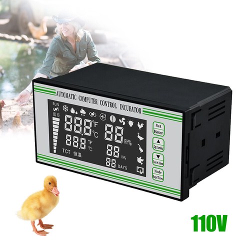 Regolatore incubatrice uova - regolatore,