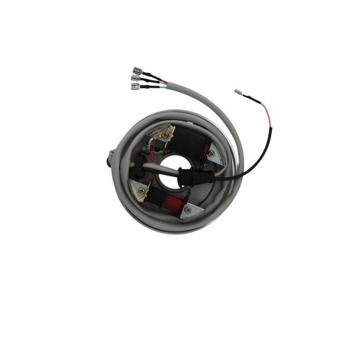 Magnete statore alternatore - magnete,
