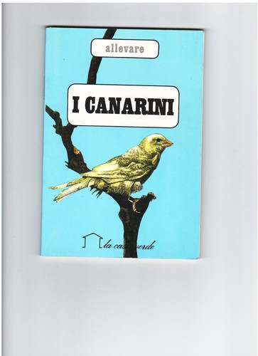 Canarini allevamento - i,
