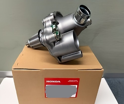Gruppo pompa acqua honda - pompa,
