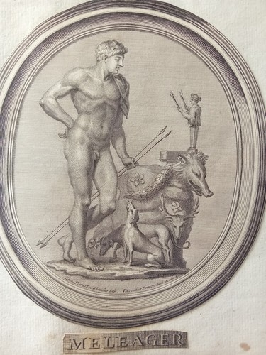 Incisione meleagro cinghiale - incisione,