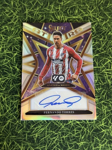 Fernando torres auto panini - fernando,