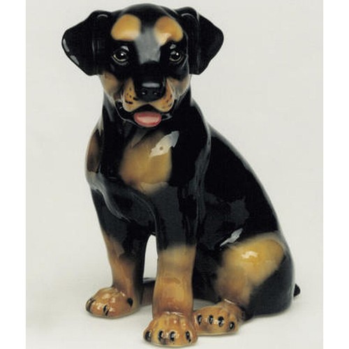 Cane rottweiler seduto - , in