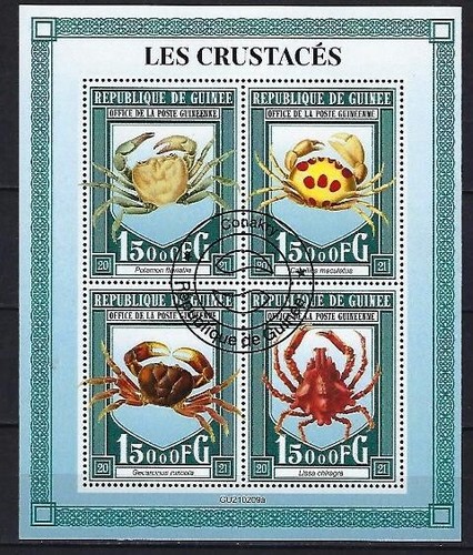 Animali crostacei guinea 2021 - guinea,