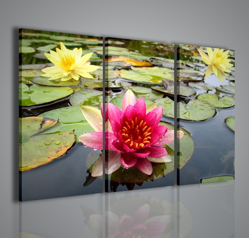 Quadri moderni flower - quadri,