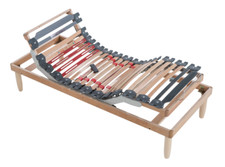 Rete Motorizzata Bionica Noi