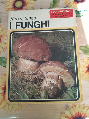Raccogliamo funghi i - i,