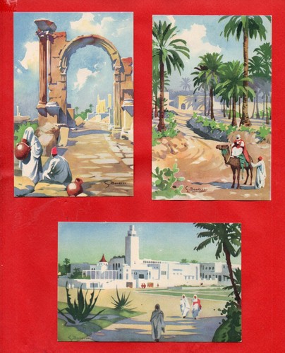 Bonelli illustratore lotto - illustratore,