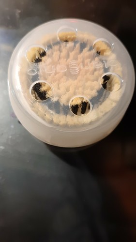 Testina ricambio per - ricambio,