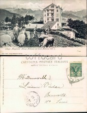 VERBANIA PROVINCIA-MOTTARONE