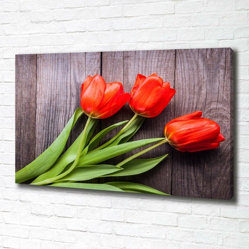 Tulup dipinto tela pittura - dipinto,