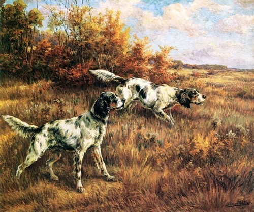 Sul profumo cani caccia - sul, da