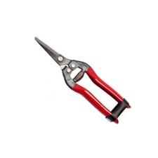 FORBICI COGLIUVA IN ACCIAIO