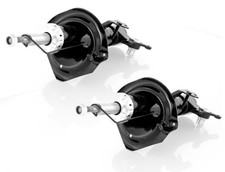 Coppia Ammortizzatori a Gas