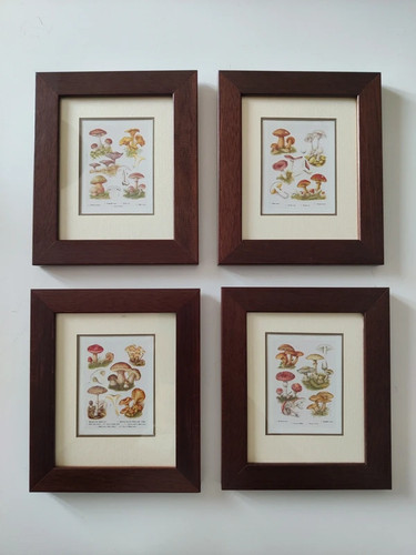 Set quattro quadri piccoli - set,