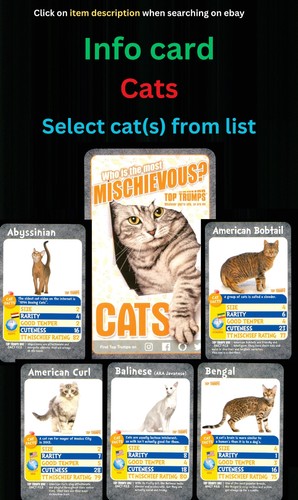 Cats info card select - info,