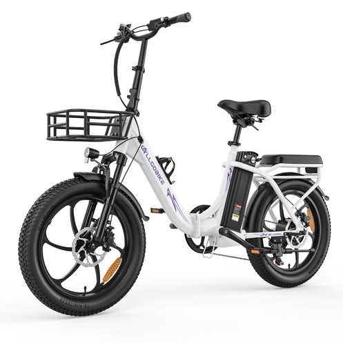 Bicicletta elettrica 250w - bicicletta,