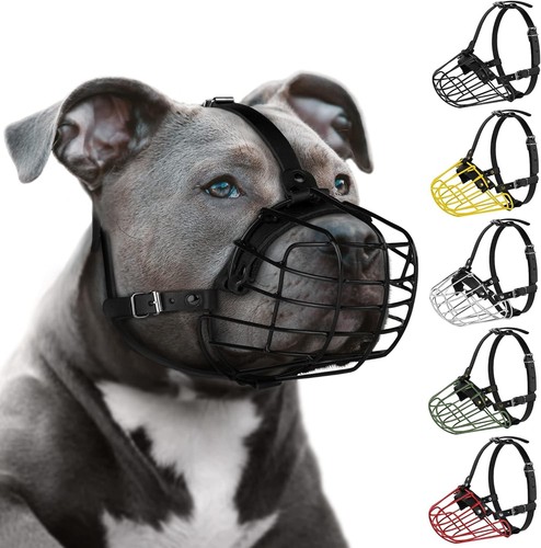 Pitbull museruola per - museruola, cani