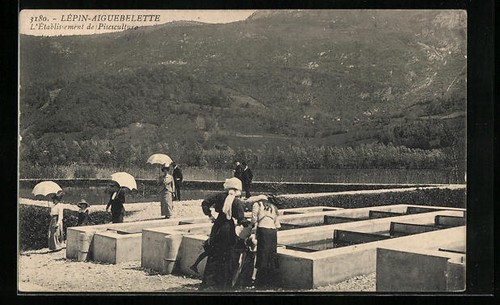 Cpa lépin aiguebelette - cpa, lépin-aiguebelette