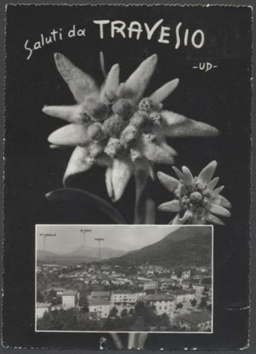 G048 cartolina saluti - saluti, da