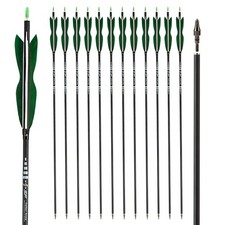 12 Pezzi Frecce in Carbonio da