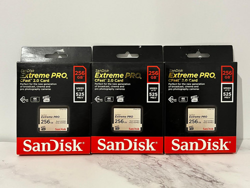 Scheda memoria sandisk 256 - memoria,