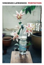 Perfection by Vincenzo