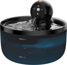 Fontanella per Gatti Senza