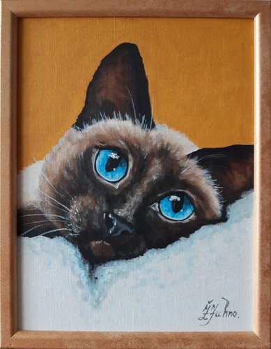 Dipinto olio gatto siamese - olio,