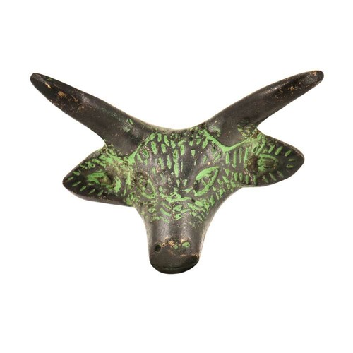 Ottone steer testa con corna - testa,