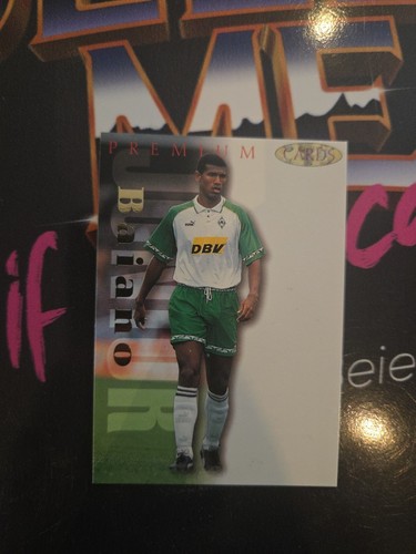 Panini premium cards junior - cards,