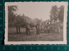 FOTO CONTADINI  CAVALLI DA LAVORO ARATRO  UOMINI E DONNA 1930 - 40 C. ( F 38 )