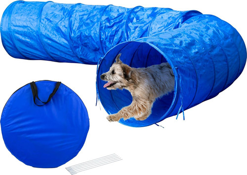 Tunnel agility per cani - agility,
