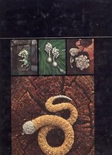 Arte Orafa Valenzana [Hardcover] AA.VV.