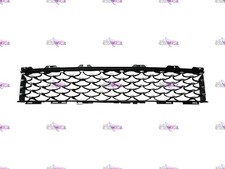 GRIGLIA PARAURTI ANTERIORE