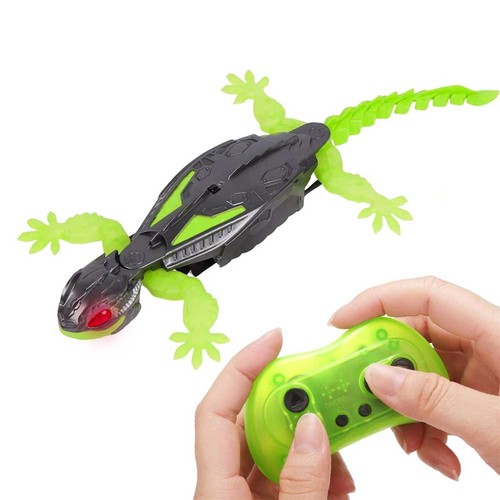Crawler parete geco - da,