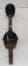51771729 Semialbero ant