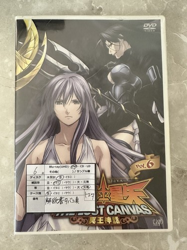 Saint seiya the lost canvas - lost,