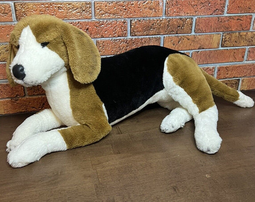 Cane beagle grande - beagle,