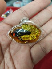 Amuleto siamese Betta Fish Calling Money LP Mian Thai ricco portafortuna nero