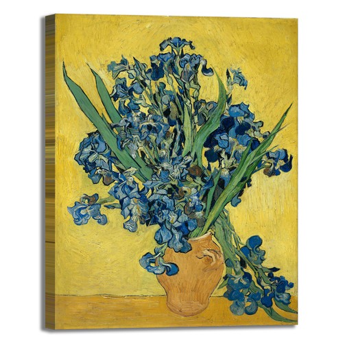 Van gogh vaso - van, iris