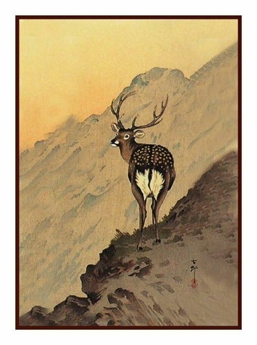 Cervo sulla neve - , di